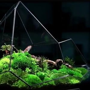 Meet your Posher, Danny